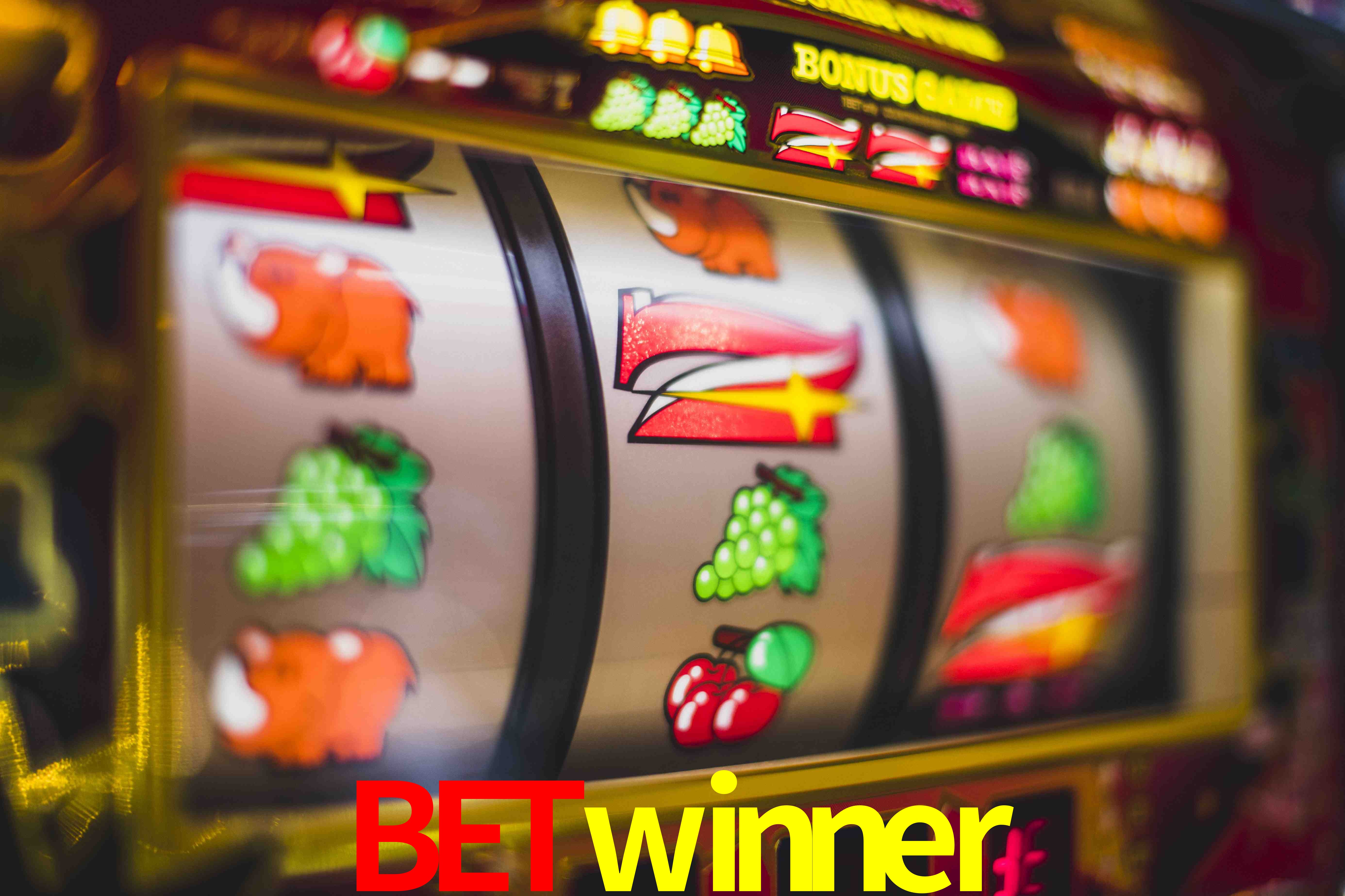 Statistics betwinner